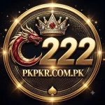 C222 Game