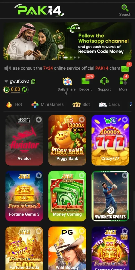 PAK14 Game